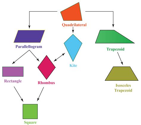 Quadrilateral Definition Properties Types Formulas Notes | The Best ...