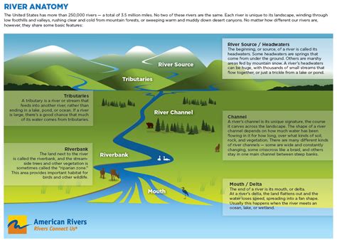 What Makes a River? | American Rivers