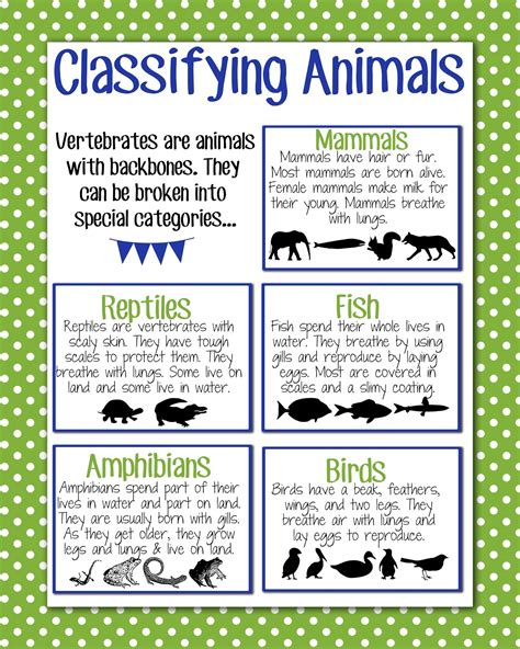 First Grade Animal Unit