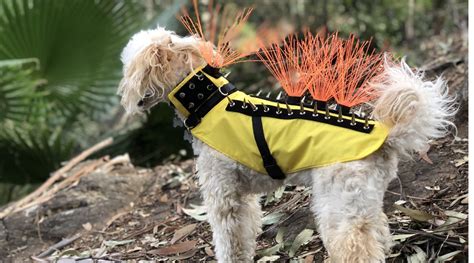 CoyoteVest Pet Body Armor