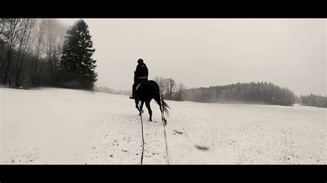 Horse pulling sled - YouTube