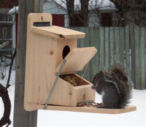 Squirrel feeder plans | Squirrel feeder diy, Squirrel feeder, Squirrel ...