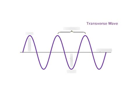 Draw and label a diagram of a transverse wave. Diagram | Quizlet