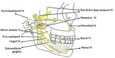 Mandibular Nerve Block ~ JPEEI CLINIC