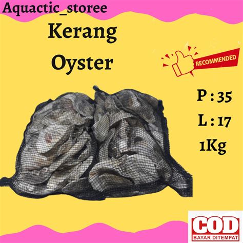 Jual Kulit kerang oyster media filter kolam ikan koi ikan hias ...