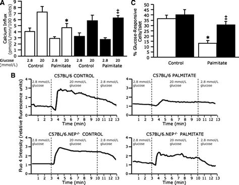 Neprilysin-deficient islets exposed to palmitate are protected against ...