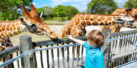 Zoo, zooparky, zookoutky, farmy a další zvířátka v Třebíči | Slevomat.cz