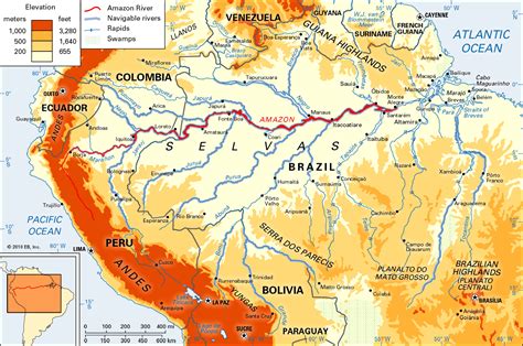 Online Maps: Amazon River Map