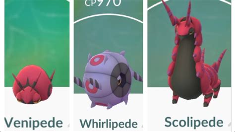 Evolving Scolipede from Venipede in Pokemon go | Whirlipede | Bug ...