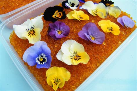 Using silica gel to dry flowers | Dried Flower Craft