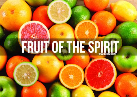 How can you display more of the fruit of the Holy Spirit? | Biblword.net