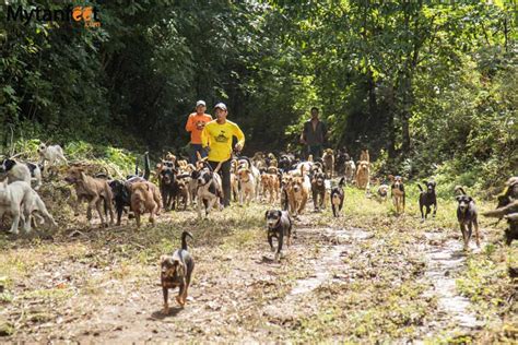 Visiting Territorio de Zaguates, the Land of Strays in Costa Rica