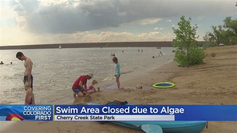 The Swim Area At Cherry Creek State Park Is Closed Due To Algae - YouTube