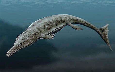 Prehistoric Crocodile Evolution | Prehistoric, Prehistoric creatures ...