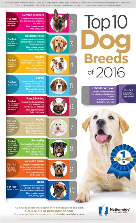 Top 10 Dog Breeds Infographic | Pet Health Insurance & Tips