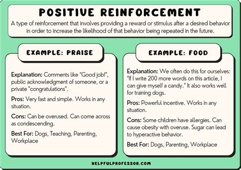 21 Positive Reinforcement Examples that Work! (2024)