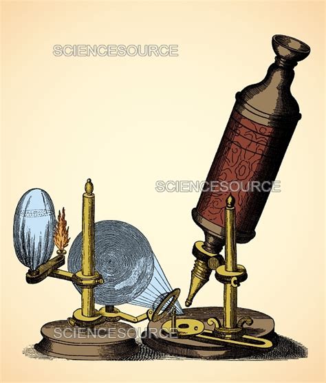 Robert Hooke Microscope, 17th Century | Stock Image - Science Source Images