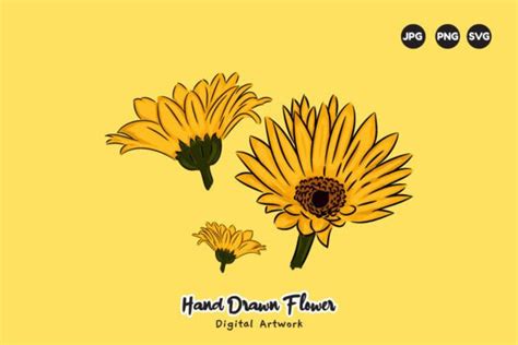 Yellow Daisy Flower Hand Drawing Graphic by taher.yeti · Creative Fabrica