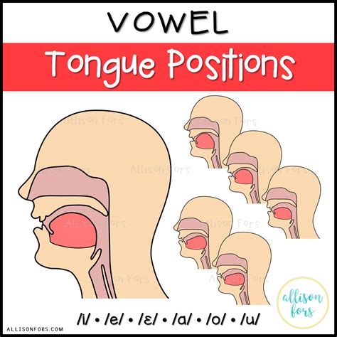 Vocal production anatomy for 6 vowels! The clipart images depict the ...