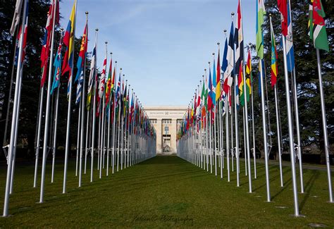 Student diplomats recognized at spring National Model United Nations ...