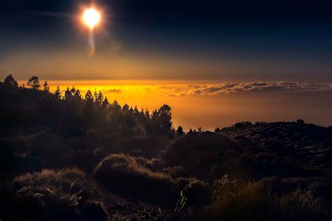 Mountains and Trees during Sunset · Free Stock Photo