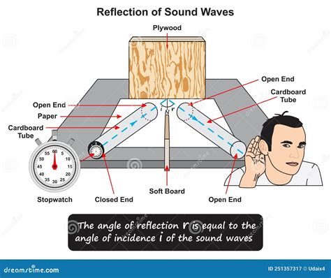 Reflection of Sound Waves Infographic Diagram Physics Science Education ...