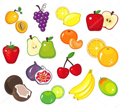 Fruits — Stock Vector © dayzeren #4755831