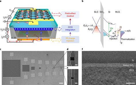 Graphene charge-injection photodetectors | Nature Portfolio Engineering ...