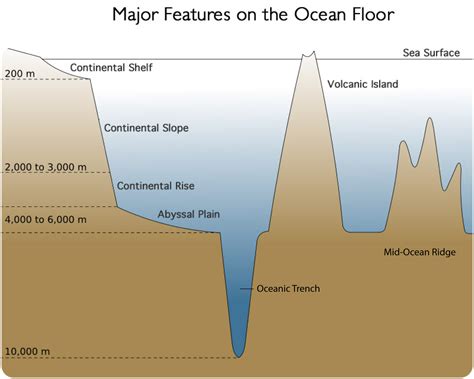 The Ocean Floor - Earth Science in Maine | Ocean diagram, Ocean ...