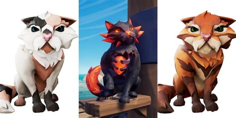 Sea Of Thieves: All Of The Cats You Can Purchase (& Their Outfits)