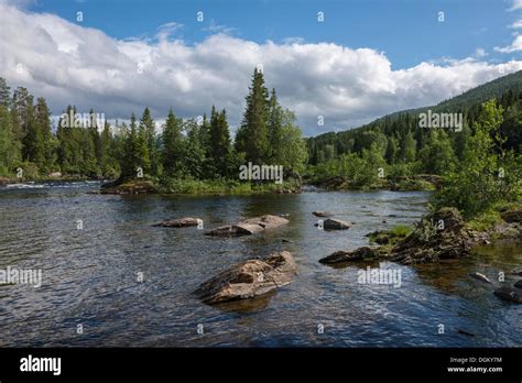 Landscape with the salmon river of Namsen, Namsskogan, Tal Namdalen ...