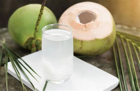 Coconut Water at Best Price in Surat, Gujarat | Ghanishtha Food Product