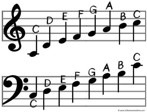 🎼 FREE Printable Music Notes Chart