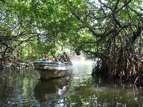 bentota-river-safari - Yallabook