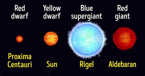 A Guide on Types of Stars / 5-Minute Crafts