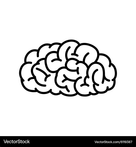 Outline human brain Royalty Free Vector Image - VectorStock