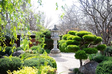 How a Himeji landscape designer rescued Adelaide's 'garden of ...