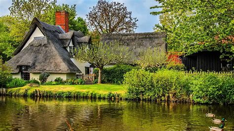 1920x1080px, 1080P free download | English countryside scene, Trees ...