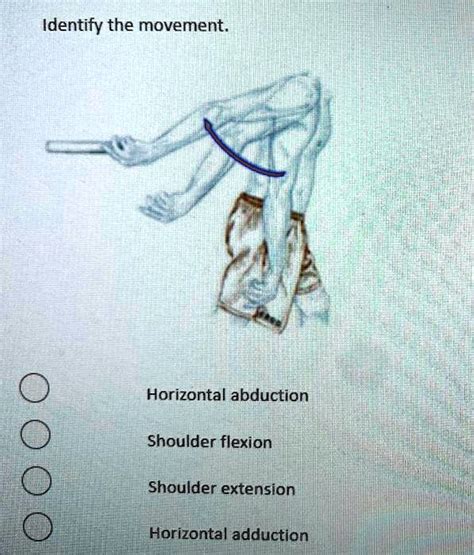 SOLVED: Horizontal abduction, Shoulder flexion, Shoulder extension ...