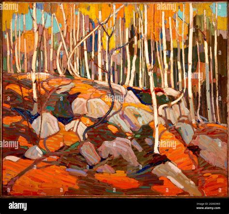 Tom Thomson - The Birch Grove - Autumn/Winter - 1915 Stock Photo - Alamy