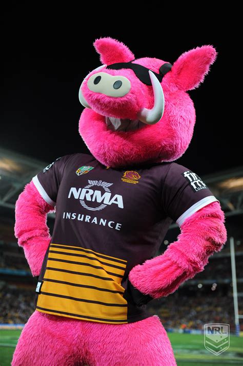 Broncos Hogsbreath Mascot | Mascot, Nrl, Broncos