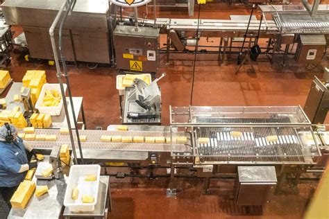 Tillamook Cheese Factory Tour: This is What You Need to Know - The ...