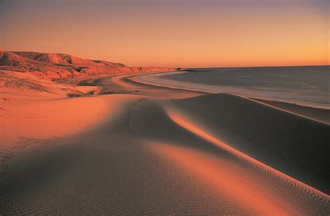 Sunset At Ocean Dunes Free Stock Photo - Public Domain Pictures