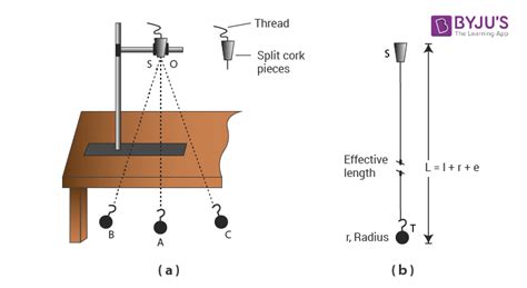 How To Use A Pendulum Stand