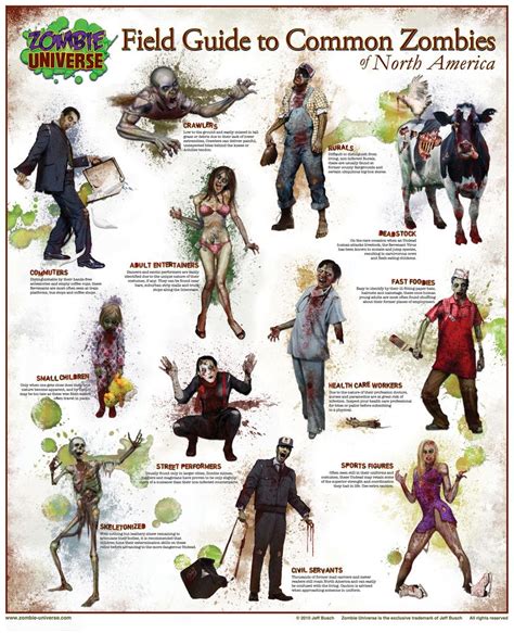 Zombie Field Guide 19.5x24 small | Zombie apocalypse survival, Zombies ...