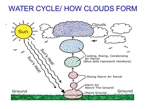 Condensation Water Cycle Diagram