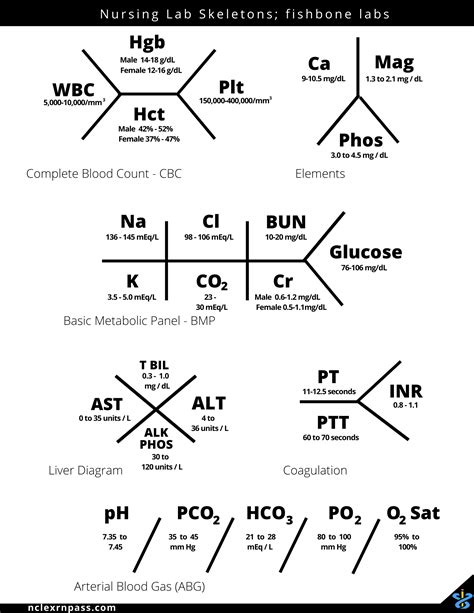 Lab Values Fishbone Diagram Template