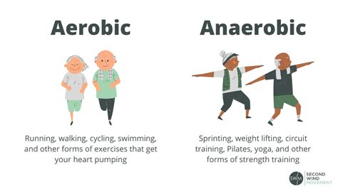 Cardio Exercises for Older Adults: 5 Tips to Make The Most of It – SWM