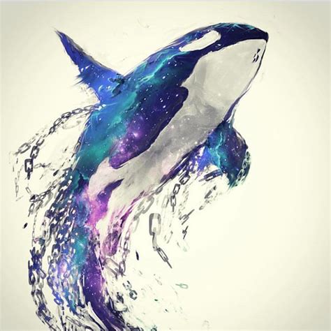 Orca Whale Drawing at GetDrawings | Free download