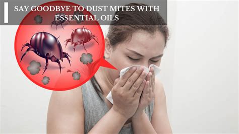 Say Goodbye To Dust Mites With Essential Oils – Moksha Essentials Inc.